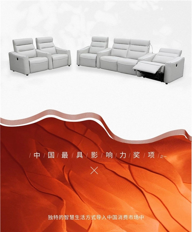 ER影院沙发斩获2024年红棉设计奖j9九游会登录御虎ROYAL TIG(图2)