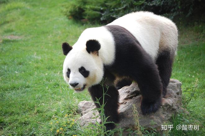 幕1715售楼处发布：奢华生活新定义！J9九游会Φ外滩天幕1715 外滩天(图1)